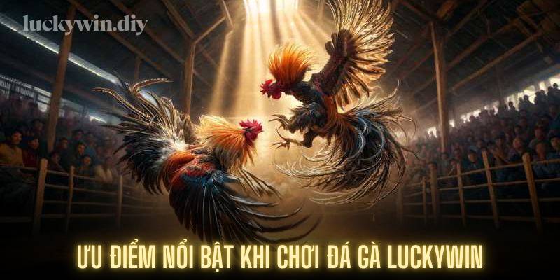 Ưu điểm nổi bật khi chơi đá gà Luckywin